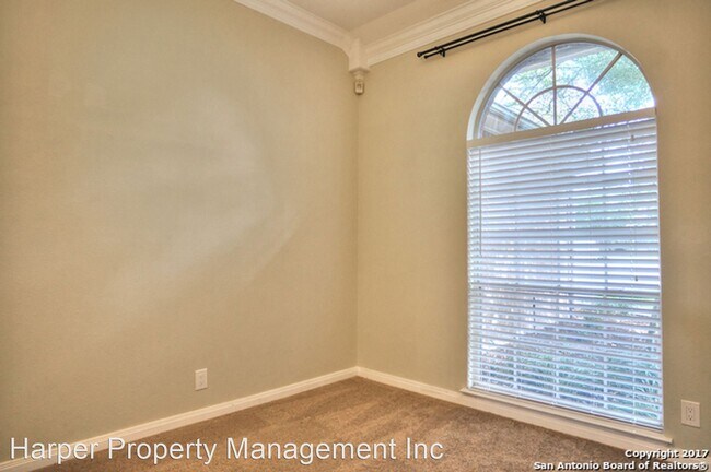 Foto del edificio - 4 br, 2 bath House - 5322 Auburn Ridge