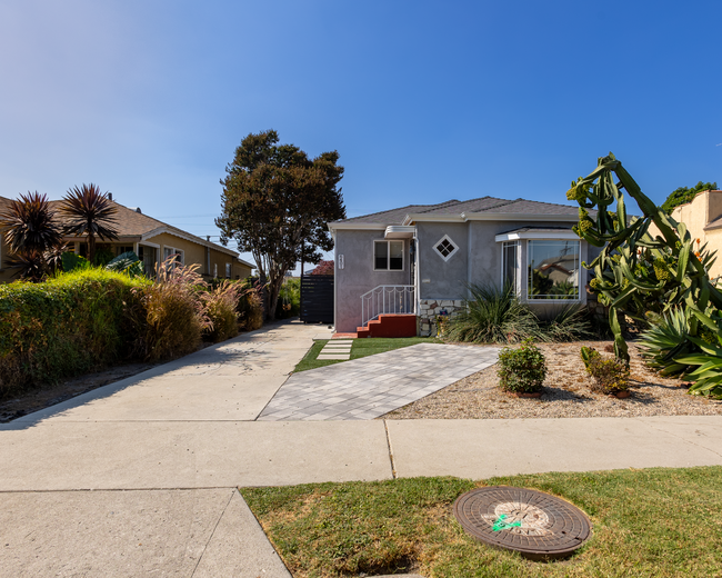 Street View 2 ft. Crape Myrtle tree that blooms beautiful pink flowers every Spring - 6401 Arlington Ave