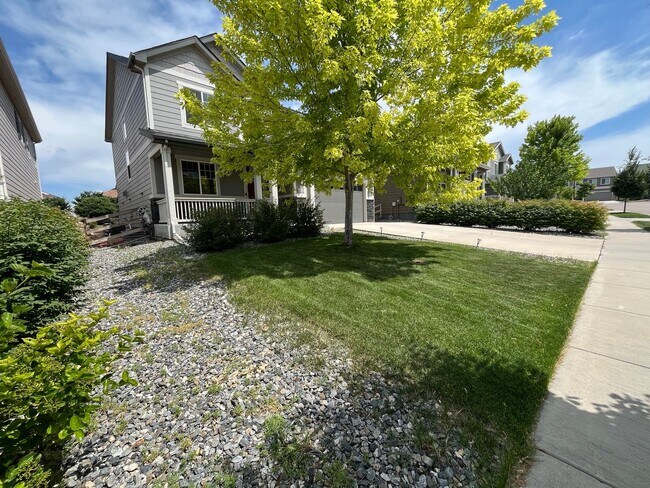 Foto del edificio - Beautiful Home in South Fort Collins