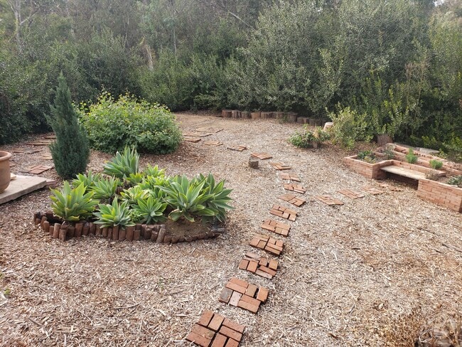 Building Photo - 5648 Calzada Del Bosque