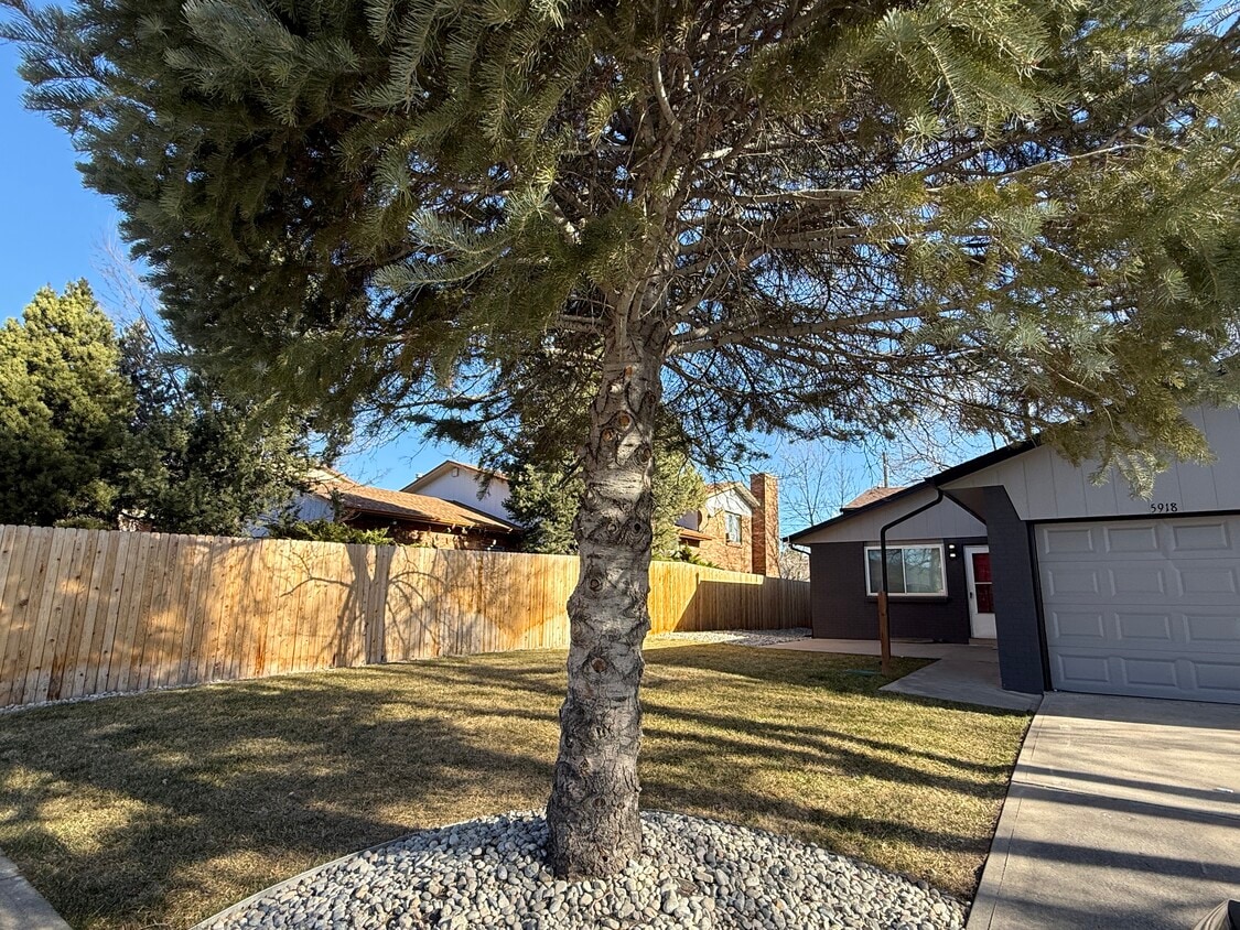 Front Yard - 5918 Newcombe Ct (Arvada, CO)