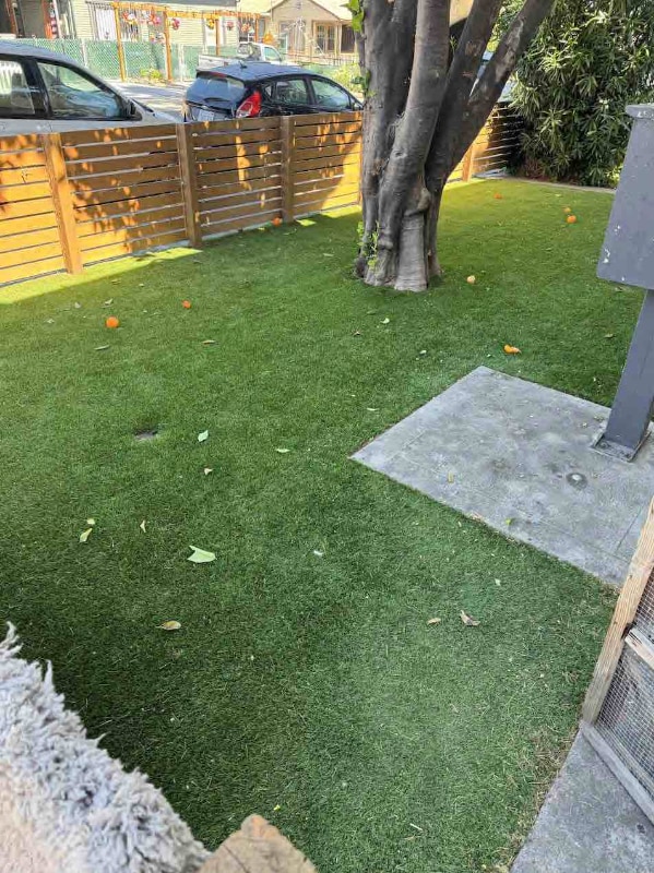 Photo - 52 Cleveland Ave Apartment