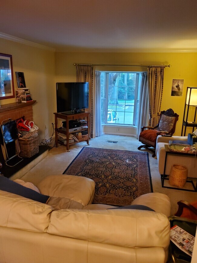 Sala de estar - 10116 Walnut Wood Ct