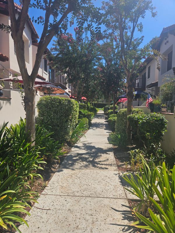 Building Photo - 501 E Bougainvillea Ln