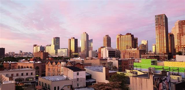 view from roof deck - 319 Barrow St