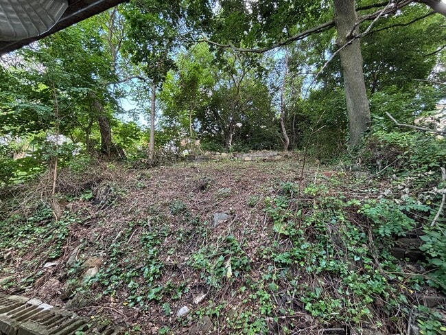 Building Photo - 1409 Brookline Blvd
