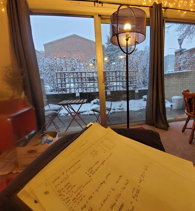 Watching the seasons from the living room - 3000 Colorado Ave