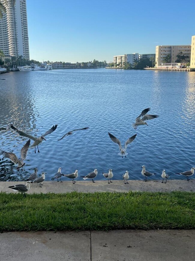 Foto del edificio - 18151 NE 31st Ct