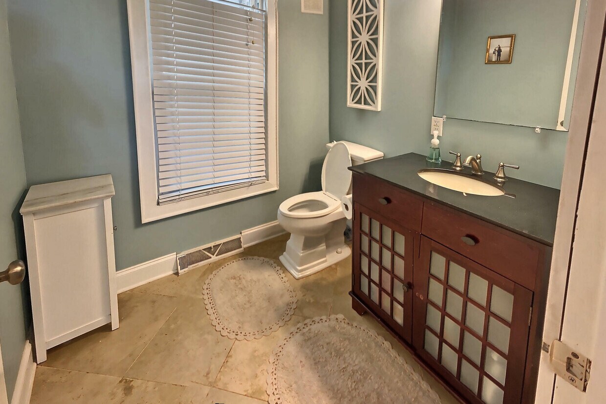 Down Stairs Bathroom - 11 N Hampton Dr