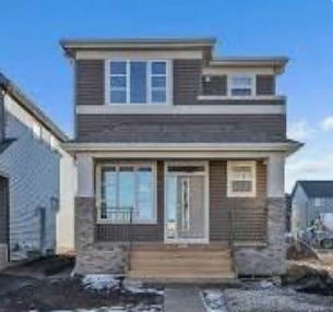 Cozy Brand new 1 Bedroom Basement - 1131 Chinook Winds Cir SW