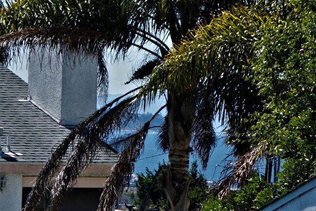 Ocean View from Balcony and Kitchen - 2411 Prospect Ave