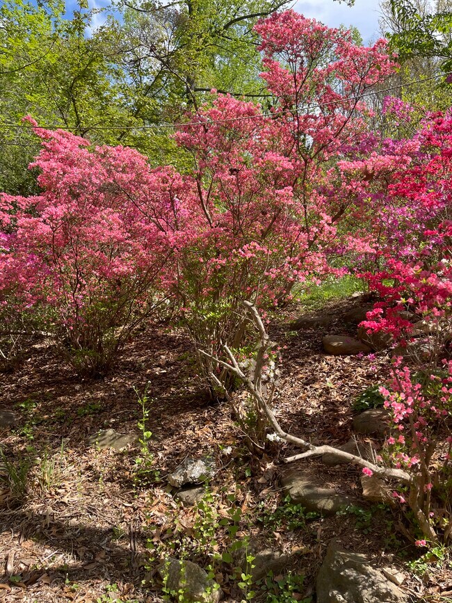 Foto del edificio - 6662 Van Winkle Dr