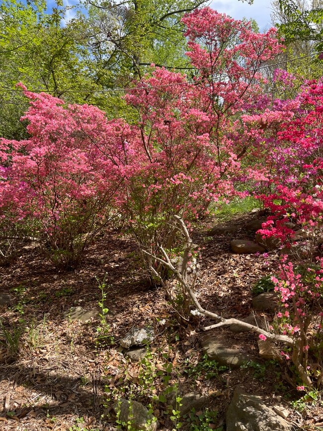 Building Photo - 6662 Van Winkle Dr