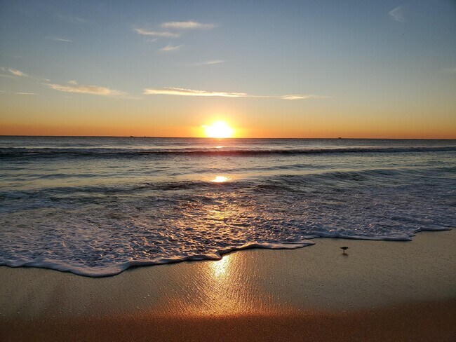 Foto del edificio - 5550 N Ocean Blvd