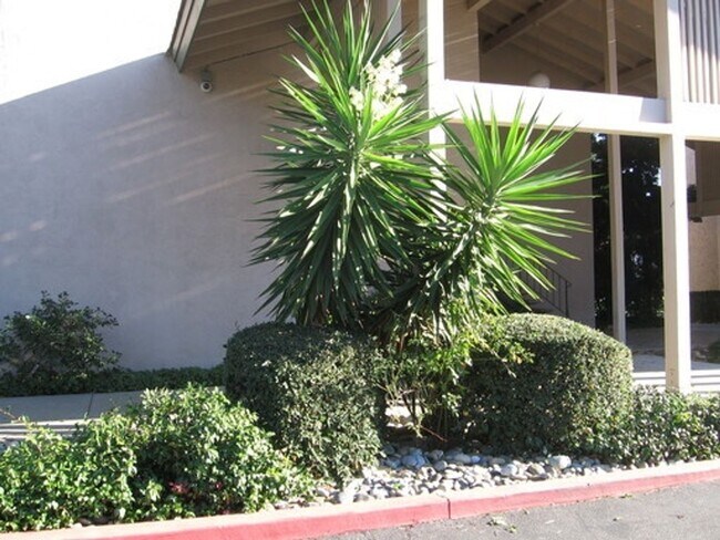 Foto del edificio - BEAUTIFUL 1 BEDROOM X1 BATHROOM CONDO!!! NOW LEASING!!!