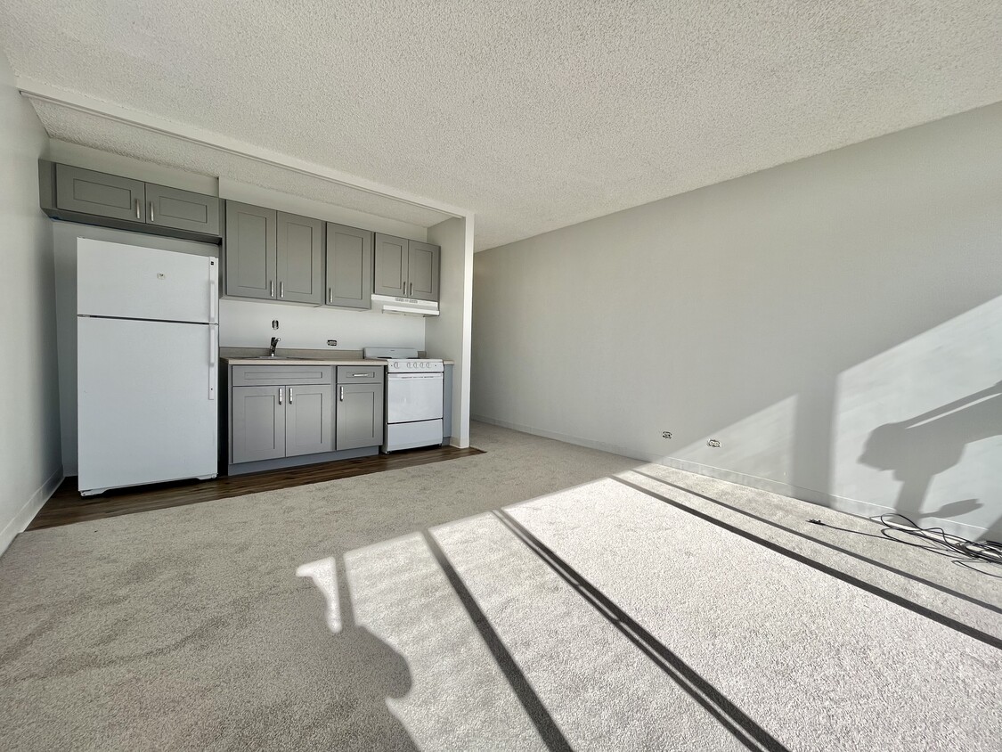 Living Area/Kitchen - 500 University Ave