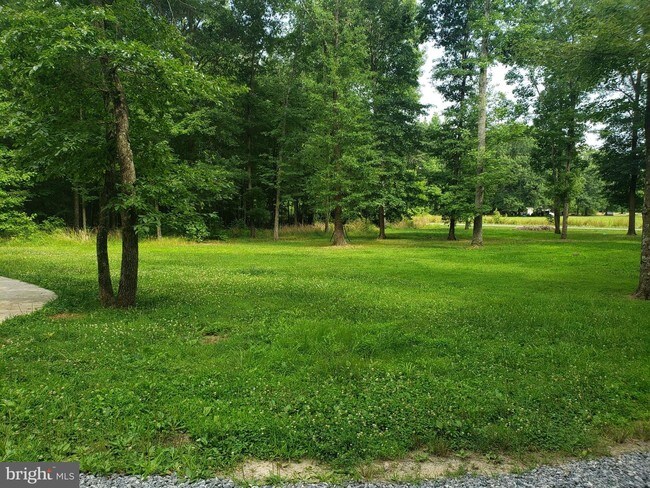 Foto del edificio - 39 Driftwood Ln