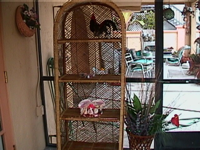 Building Photo - 29156 Mango Ln
