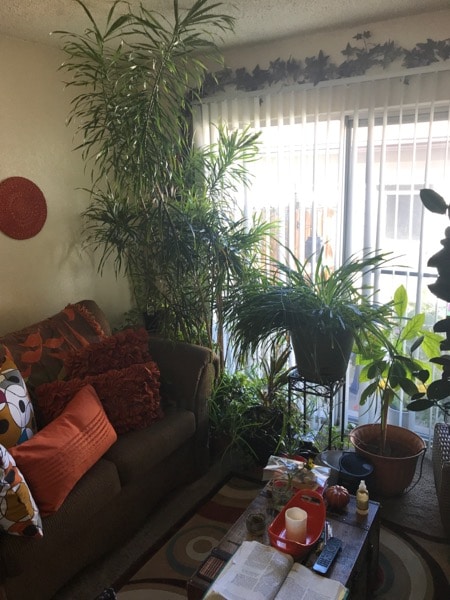 Building Photo - Charming 3BR/2BA Condo near Cherry Creek R...