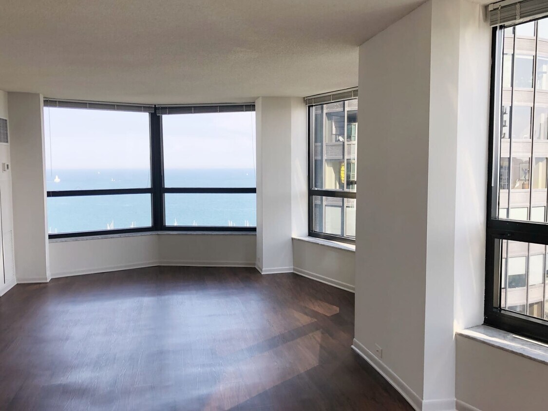 155 N Harbor Dr, Chicago, IL 60601 Condo for Rent in Chicago, IL