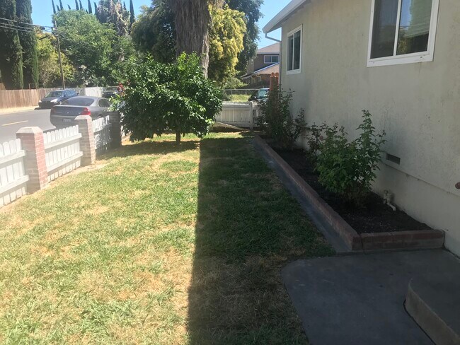 Rose Bushes. Landscaping Included - 510 Maple St