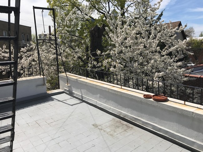 Building Photo - 21-72 43rd Street