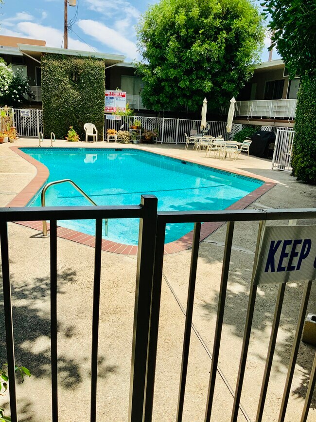 Pool - 414 E Cedar Ave