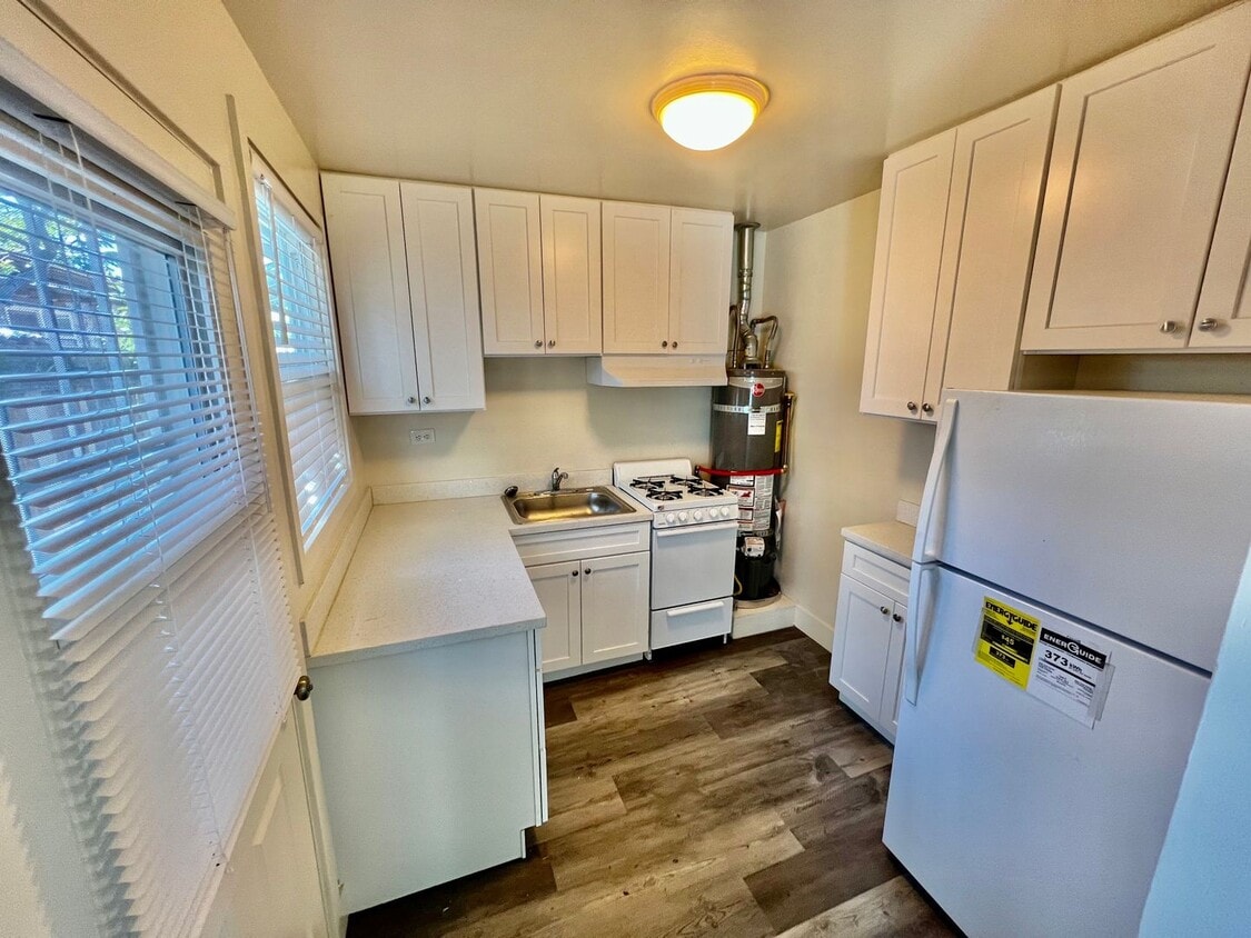 Building Photo - Newly Renovated Studio in the Heart of San...