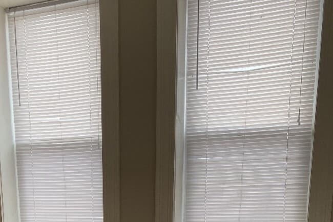 Building Photo - 341 W 3rd St