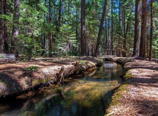 Building Photo - Furnished Shingletown Home with Horse Corral, Huge Fenced Back Yard and Chicken Coop!