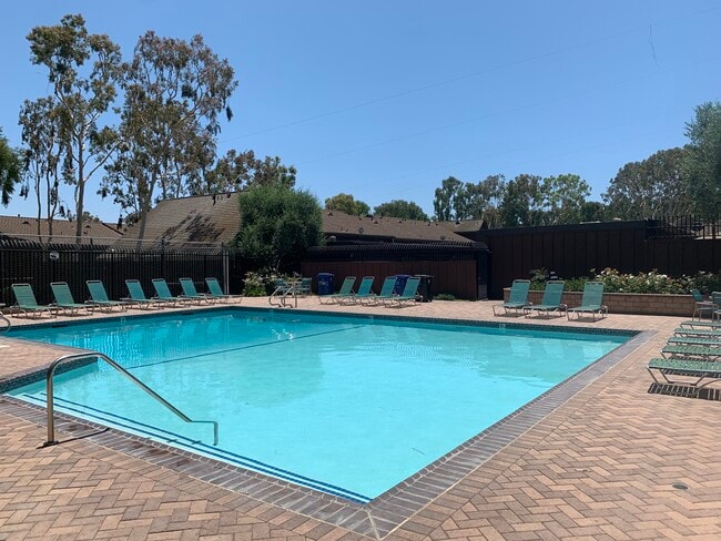 Community swimming pool - 1669 Dalmatia Dr