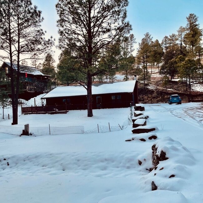 Foto del edificio - 213 White Mountain Meadows Dr
