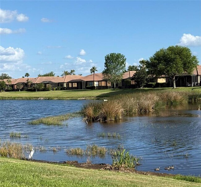 Building Photo - 352 Laurel Falls Dr
