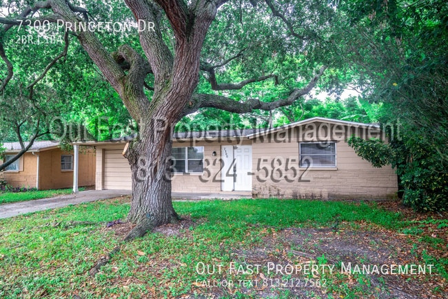 Building Photo - 7300 Princeton Dr