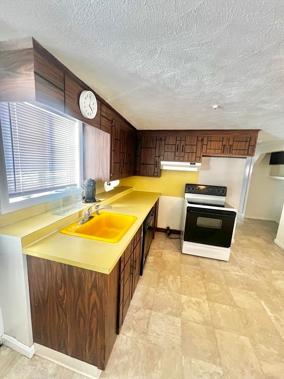 Foto principal - 82 Trueman Dr