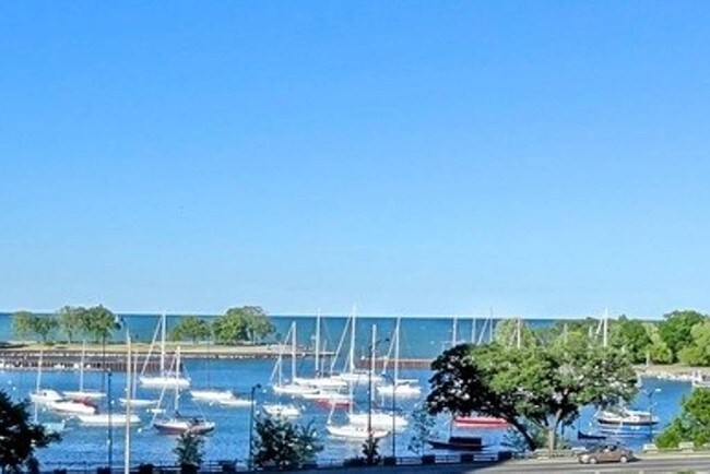views of Belmont Harbor and Lake Michigan - 3200 N Lake Shore Dr