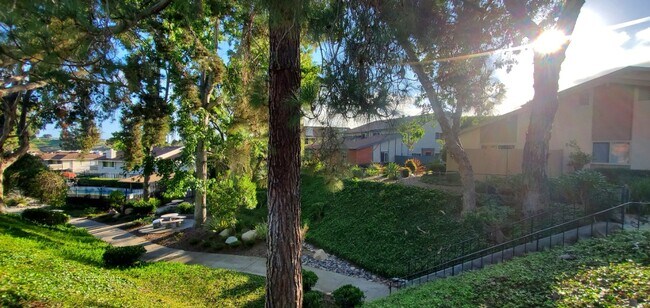 Nice view from the front yard. Community swimming pool is a block away. - 7852 Camino Raposa
