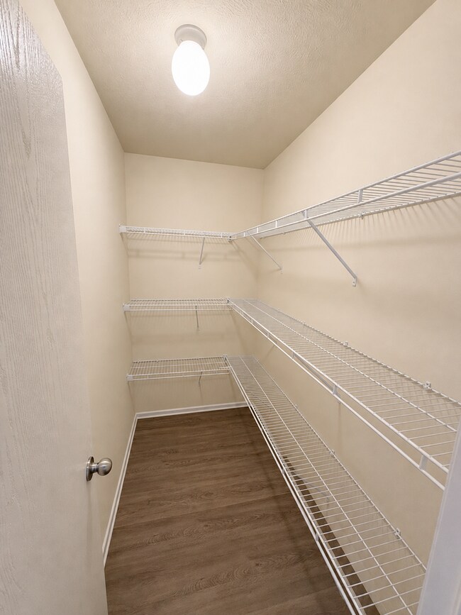 Foto del edificio - 504 Pettycoat Ln