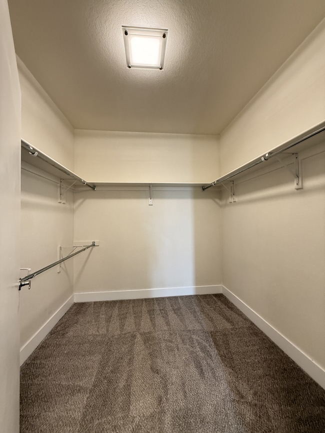 primary-walk-in-closet-high-line-pointe-2x2-1281-517-mount-evans-2-11-2026.JPG - High Line Pointe