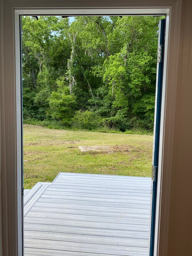 Foto del edificio - 11529 Holton Ln
