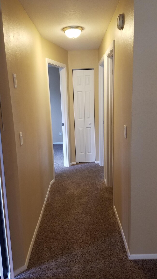 Foto del edificio - 4510 Oak Forest Ct