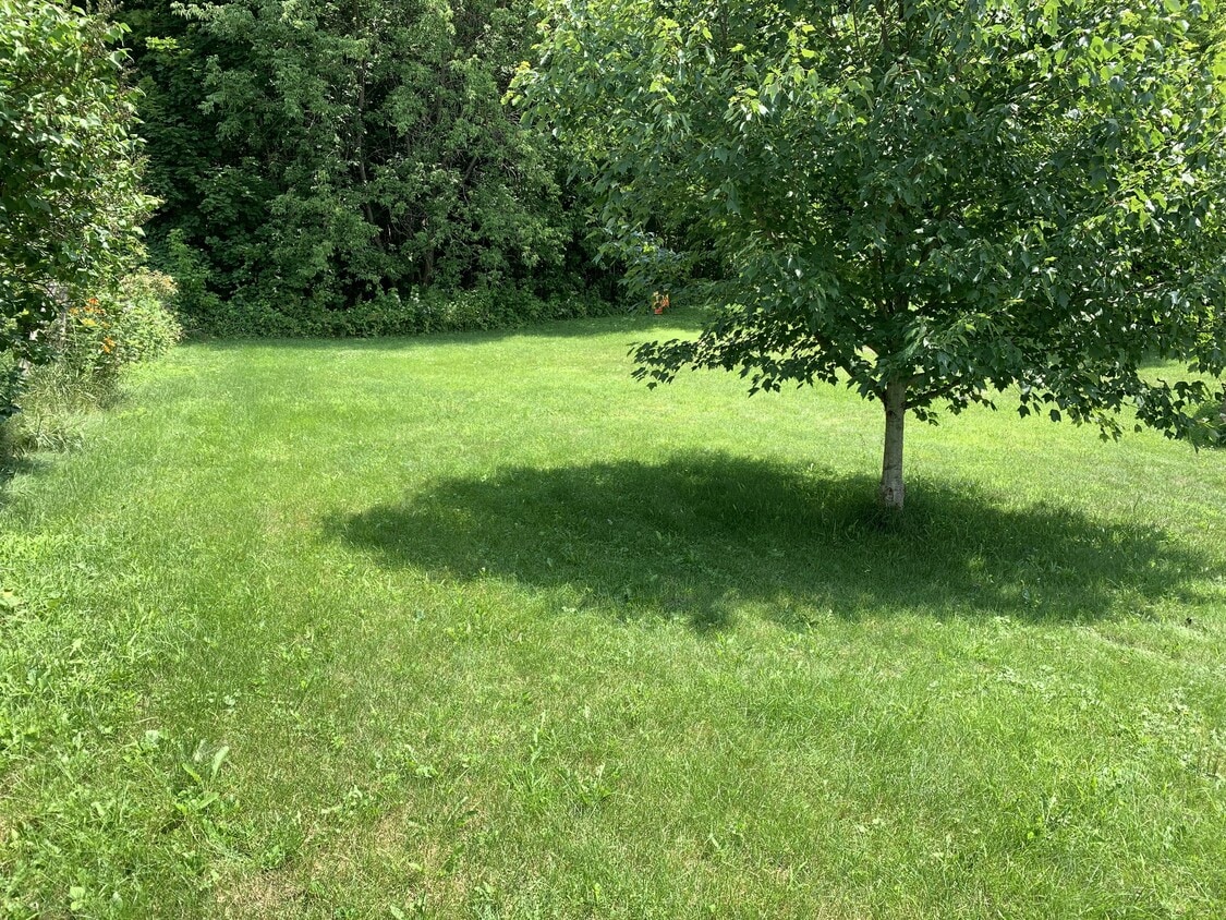 354 Charles St, Lyndon, VT 05851 Townhouse for Rent in Lyndon, VT