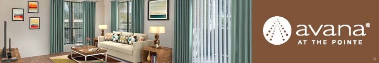 Avana At The Pointe