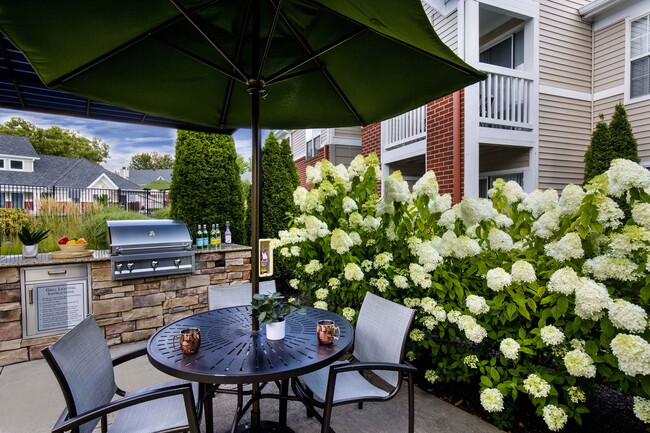 Outdoor grill and chef's kitchen - The Lakes Apartments