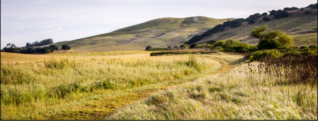 Foto del edificio - 231 Goldback Ct