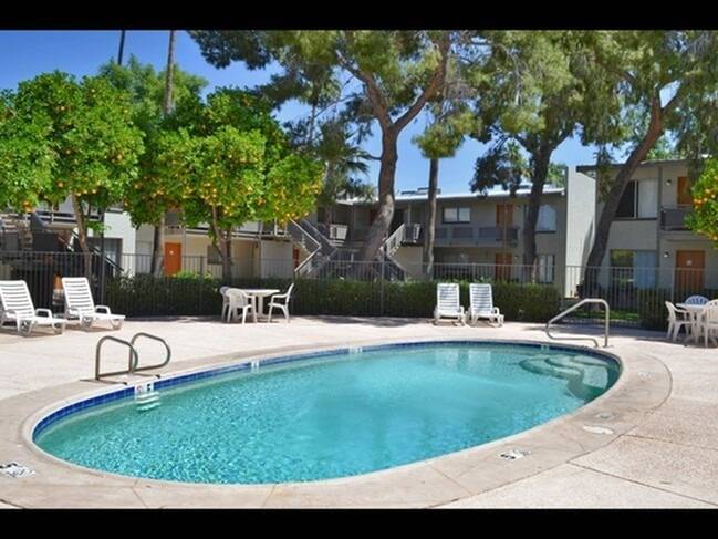 Solaris On University