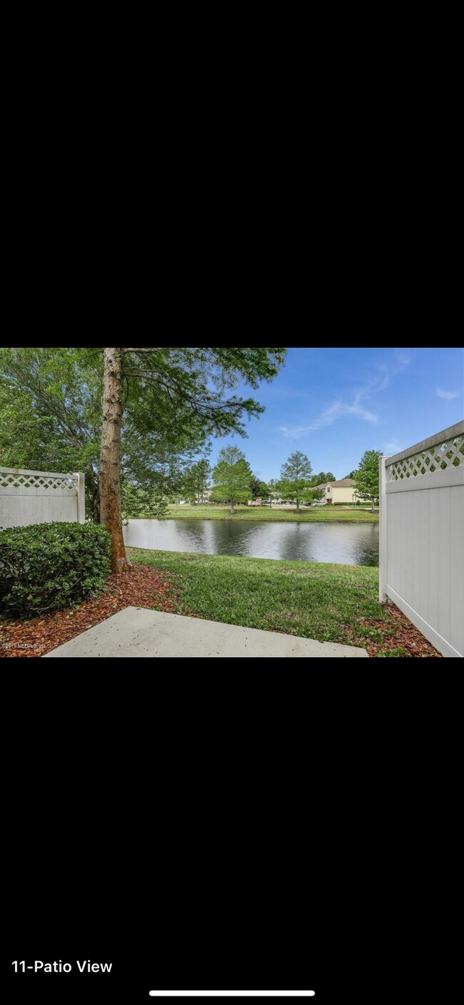 Back porch view - 825 S Black Cherry Dr