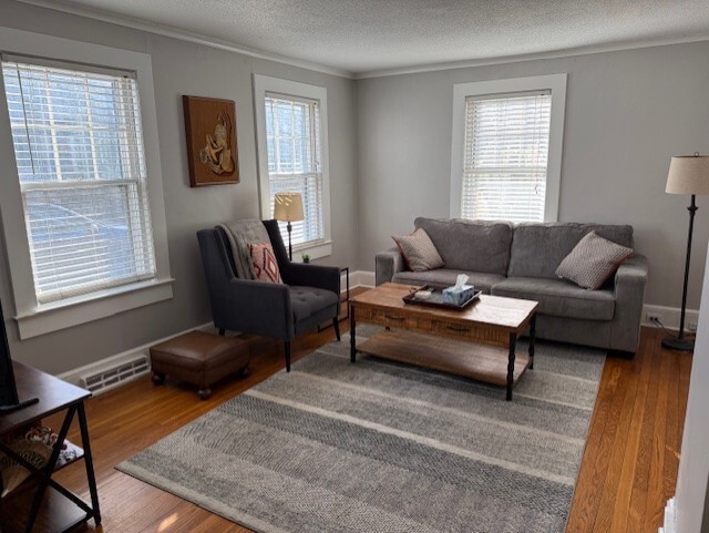 Living Room - 10 Central Ave