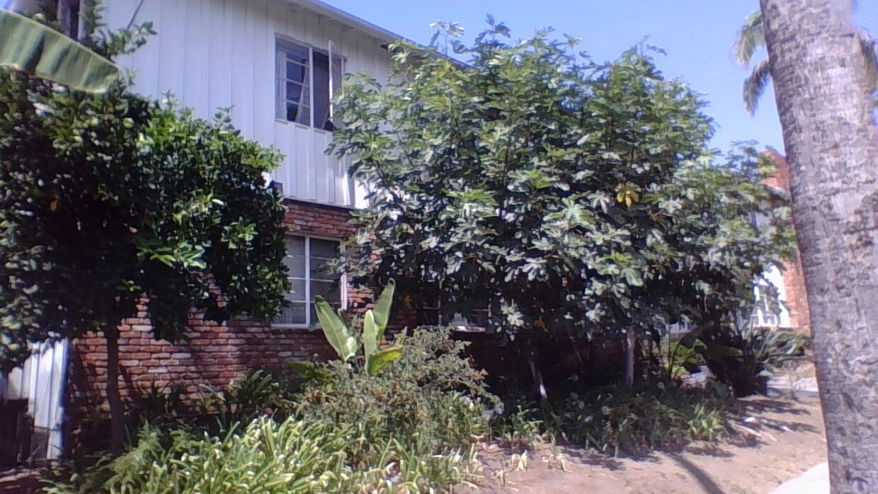 1821 Taft Ave, Los Angeles, CA 90028 Apartments in Los Angeles, CA