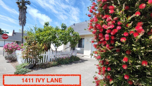 Building Photo - Lovley Remolded 4/2 East Petaluma Home - 1...